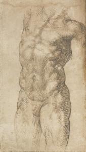 Passarotti - Male Torso