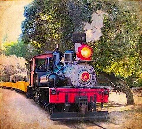 Train at Roaring Camp- g