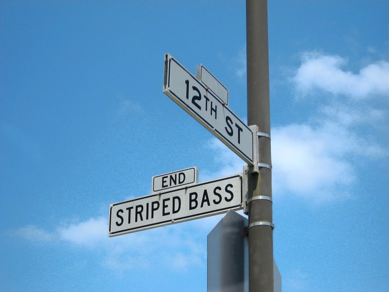 Treasure Island signPM