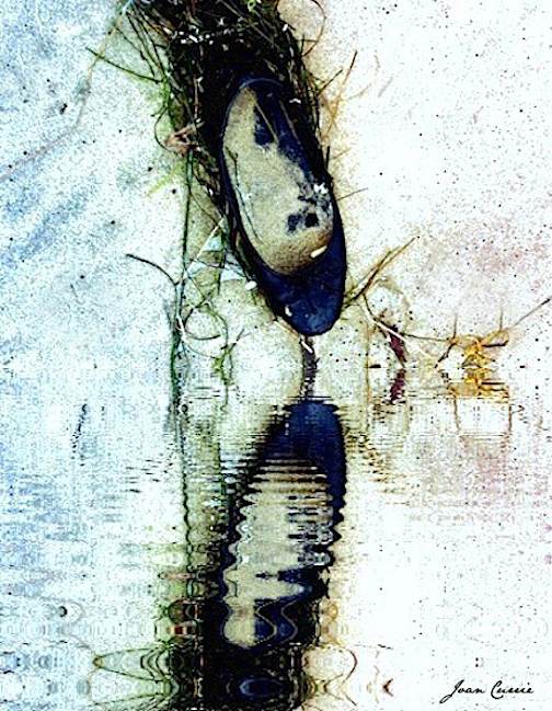 Blue shoe on shoreP7M