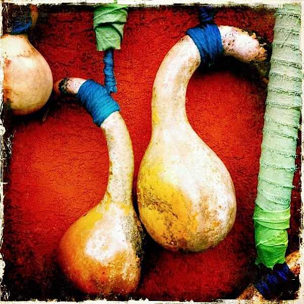 Hanging GourdsPM