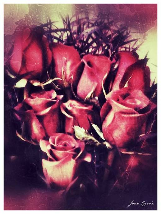 Love roses4M